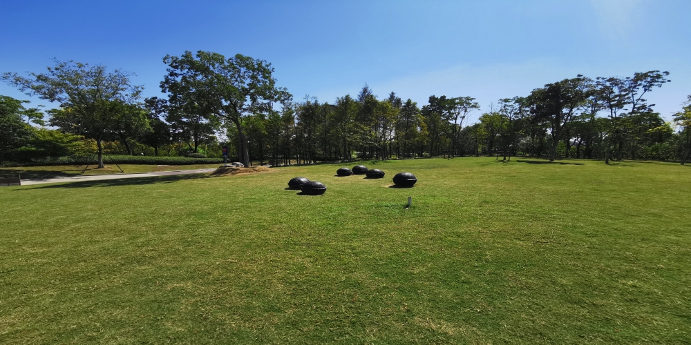 合肥廬陽區(qū)廬州公園一期綠化景觀養(yǎng)護